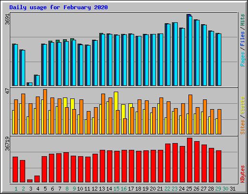 Daily usage for February 2020