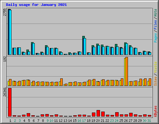 Daily usage for January 2021