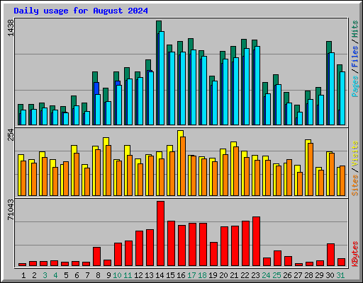 Daily usage for August 2024