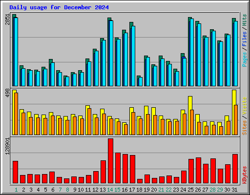 Daily usage for December 2024