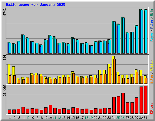 Daily usage for January 2025