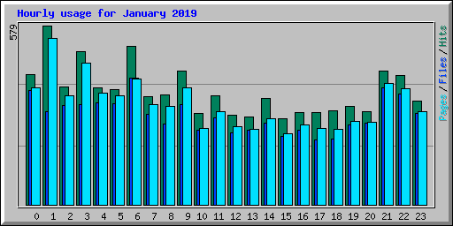 Hourly usage for January 2019