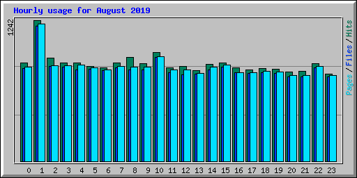 Hourly usage for August 2019