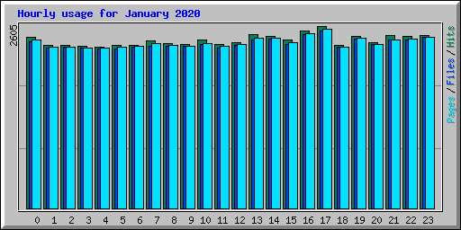 Hourly usage for January 2020
