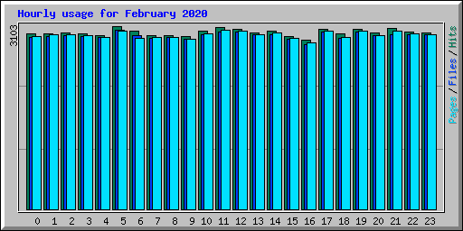 Hourly usage for February 2020