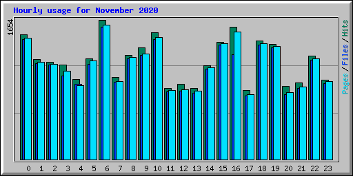 Hourly usage for November 2020