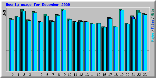 Hourly usage for December 2020