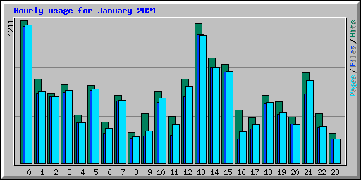 Hourly usage for January 2021