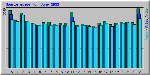 Hourly usage for June 2022