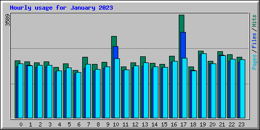 Hourly usage for January 2023