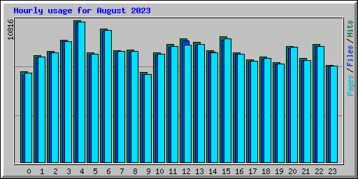 Hourly usage for August 2023