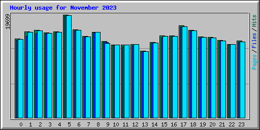 Hourly usage for November 2023