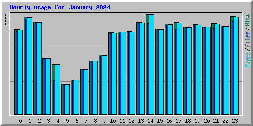 Hourly usage for January 2024