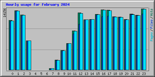 Hourly usage for February 2024