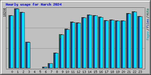 Hourly usage for March 2024