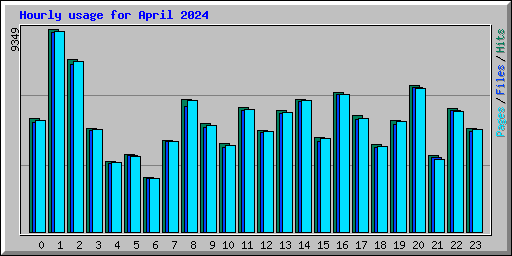 Hourly usage for April 2024