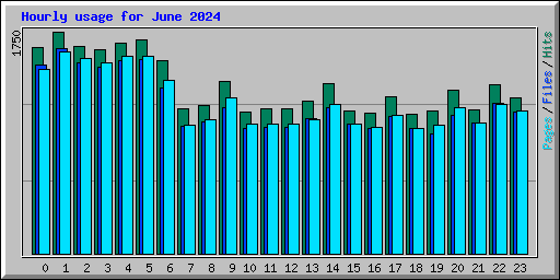 Hourly usage for June 2024