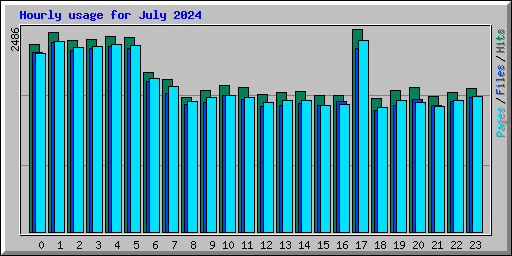 Hourly usage for July 2024