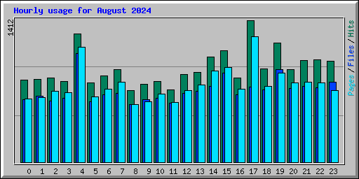 Hourly usage for August 2024