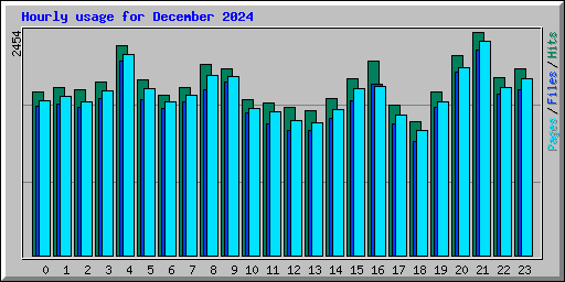 Hourly usage for December 2024