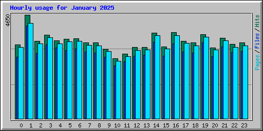 Hourly usage for January 2025