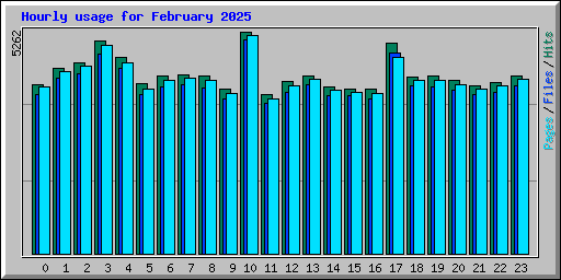 Hourly usage for February 2025
