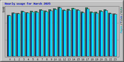 Hourly usage for March 2025