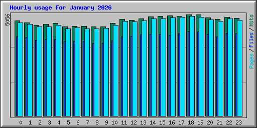 Hourly usage for January 2026